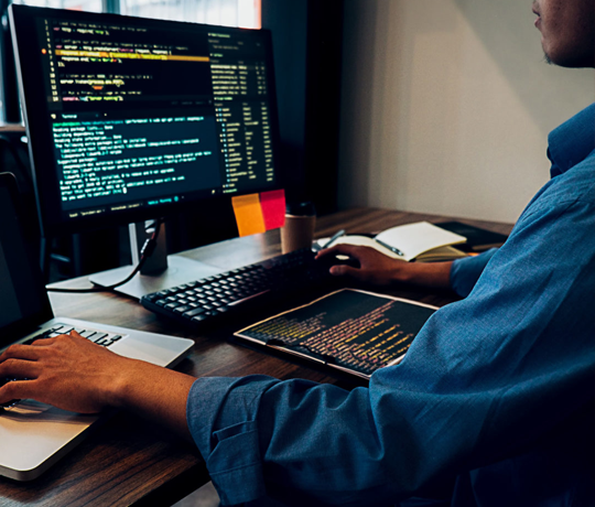 Website & Portal Development