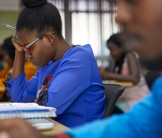 Education & Human Capital Development